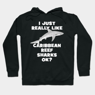 I just really like Caribbean reef sharks ok? Hoodie